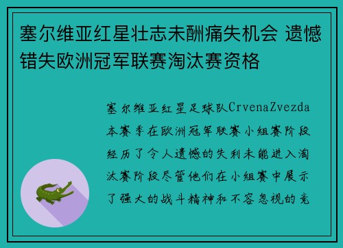 塞尔维亚红星壮志未酬痛失机会 遗憾错失欧洲冠军联赛淘汰赛资格