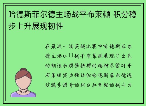 哈德斯菲尔德主场战平布莱顿 积分稳步上升展现韧性