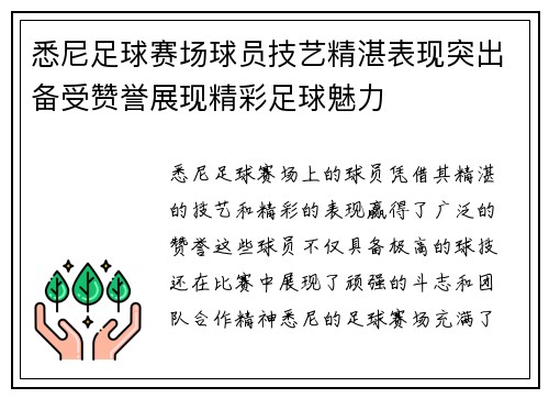 悉尼足球赛场球员技艺精湛表现突出备受赞誉展现精彩足球魅力